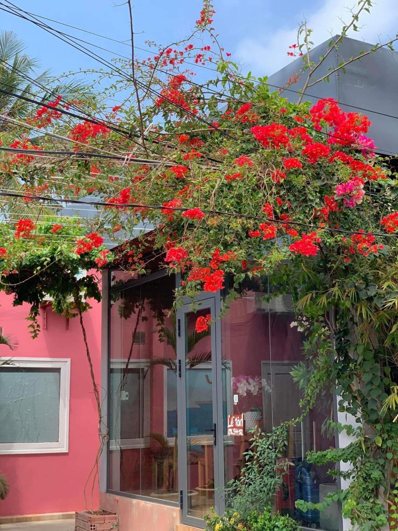Chill House By The Beach دونغ دونغ المظهر الخارجي الصورة